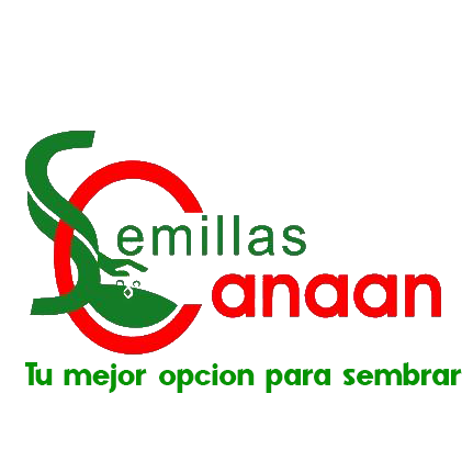 Semillas Canaan