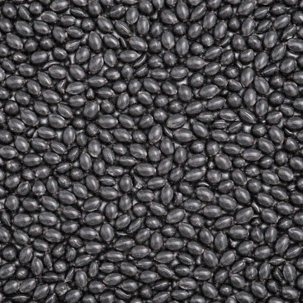 Semillas de Brachiaria Brizantha Marandú Recubierta para pasturas productivas en Paraguay