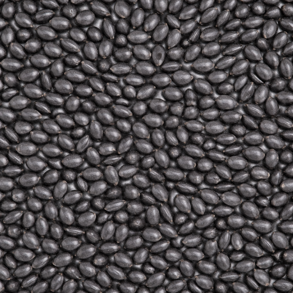 Semillas de Brachiaria Brizantha Piatã para pasturas productivas en Paraguay